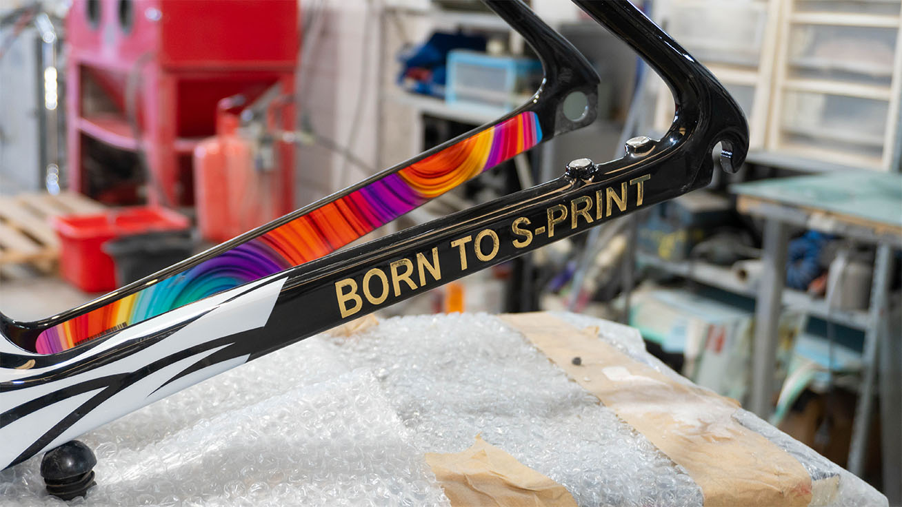 Custom bike frame sale